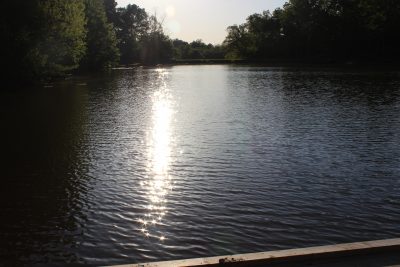lake view from the dock