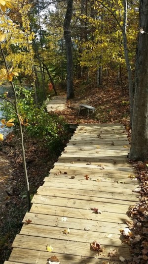 Trail at Docs Lakeside Cabin - foot brige n seat
